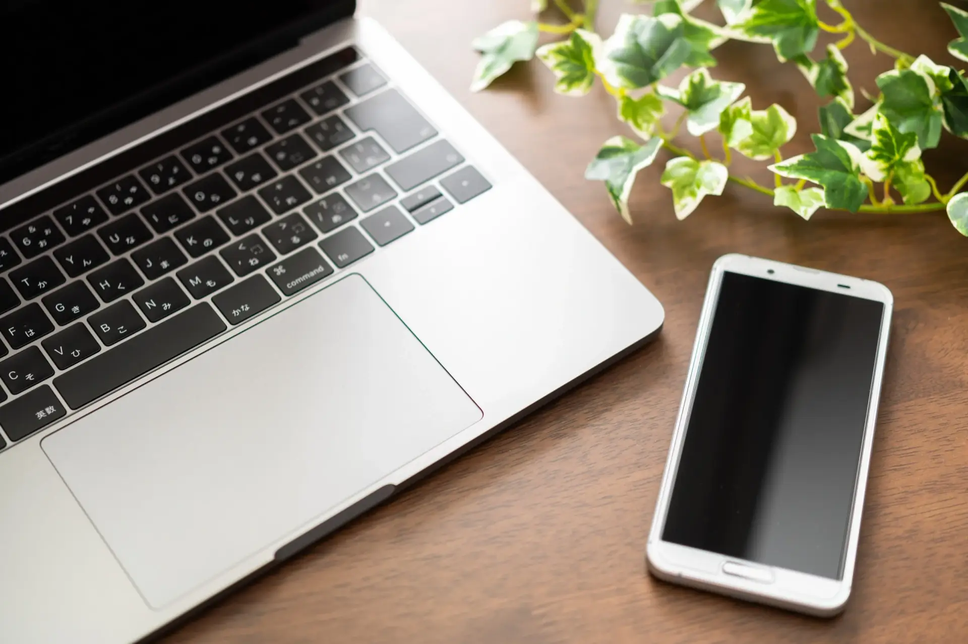 custom website development